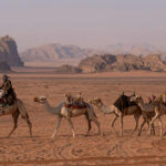 🐪🛵 Camel & Quad Combo Desert Adventure in Hurghada 23 Blog Posts Visual7 1