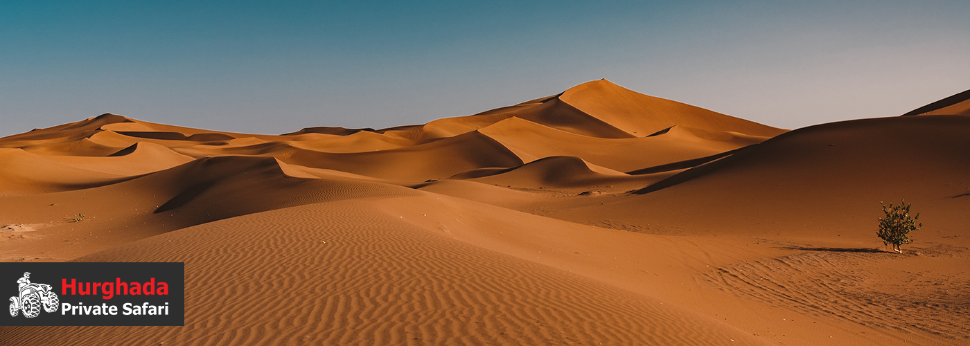 True Desert Adventures 3 August Blog Posts Visual26