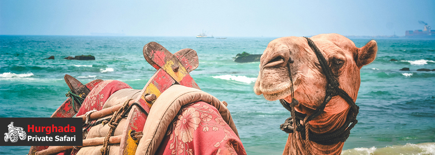 New Day, New Adventures 4 August Blog Posts Visual30