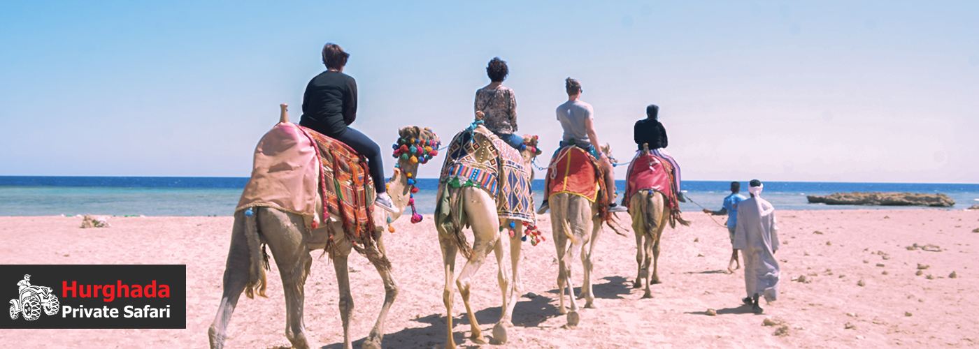 Camel rides, Bedouin tea, and sunset views 4 August Blog Posts Visual6 1