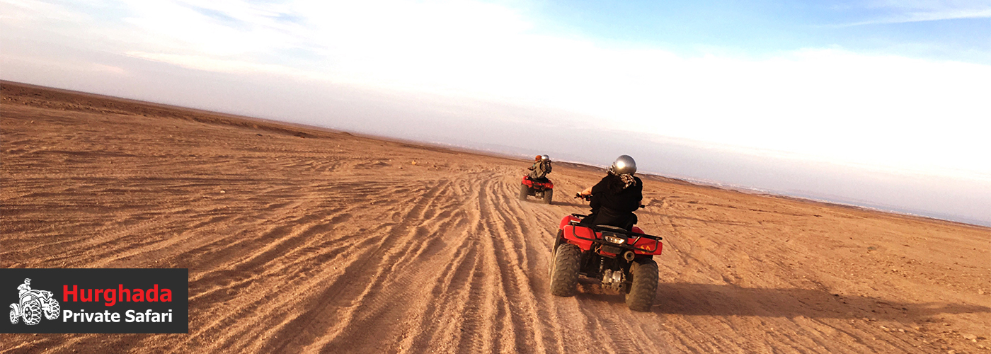 Feel the Adrenaline 4 August Blog Posts Visual7