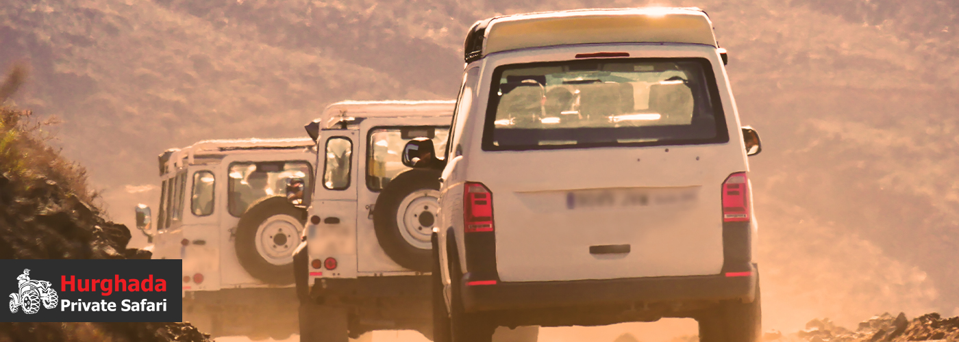 🚙 Whispering Dunes: A Gentle 4×4 Safari Experience 4 Blog Posts Visual11 1