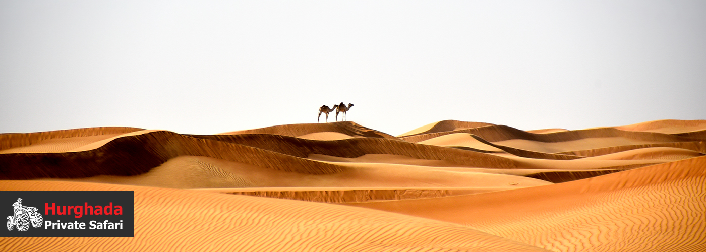 Instagram-Worthy Views 4 Blog Posts Visual19