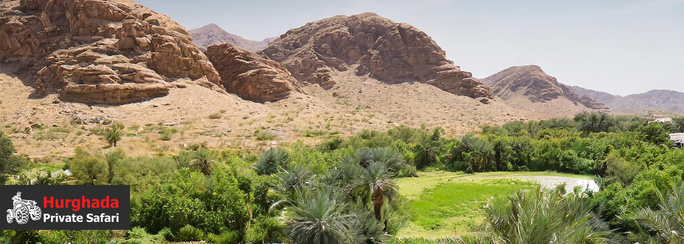 🌴 Oasis Retreat: Discover Hidden Springs and Refresh Your Spirit 4 Blog Posts Visual23 1