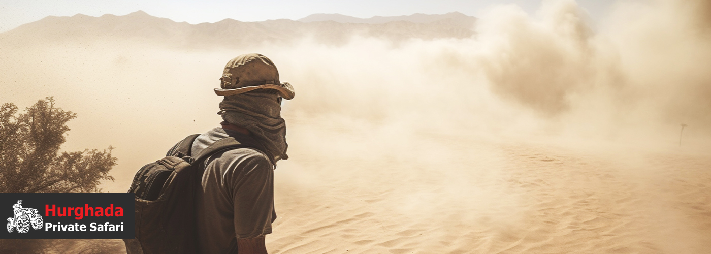 🍃 Desert Picnic: Savor Nature’s Bounty in the Sands 4 Blog Posts Visual25 1