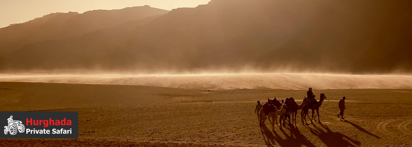 Your Desert, Your Way 4 Blog Posts Visual27