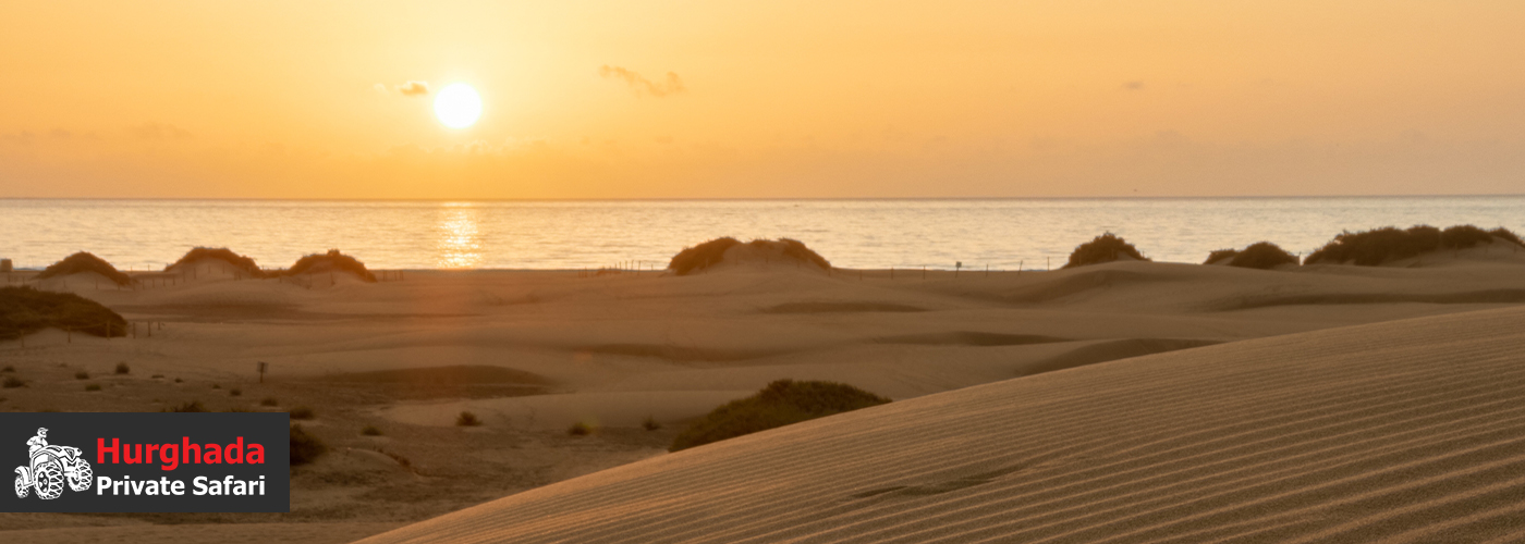 🌅📸 Sunrise Desert Safari & Photography Tours in Hurghada 4 Dec Blog Posts Visual13