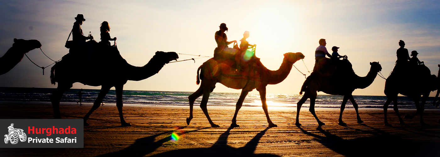 ๐
๐ช Sunset Camel Safari with Dinner in Hurghada 4 Dec Blog Posts Visual25