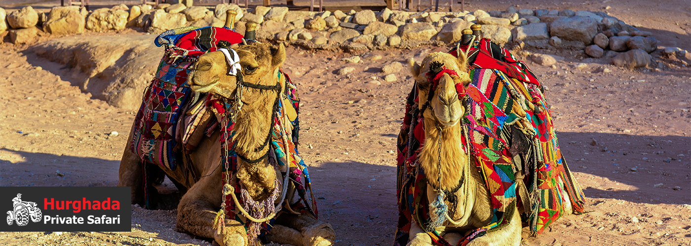 🏜️ Private Full-Day Desert Safari Adventures in Hurghada 4 Dec Blog Posts Visual3