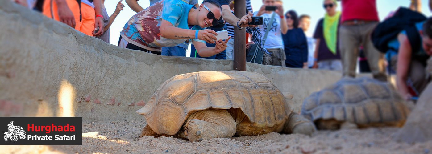 π¨βπ©βπ§βπ¦ Family-Friendly Private Safari Adventures in Hurghada 4 Dec Blog Posts Visual6