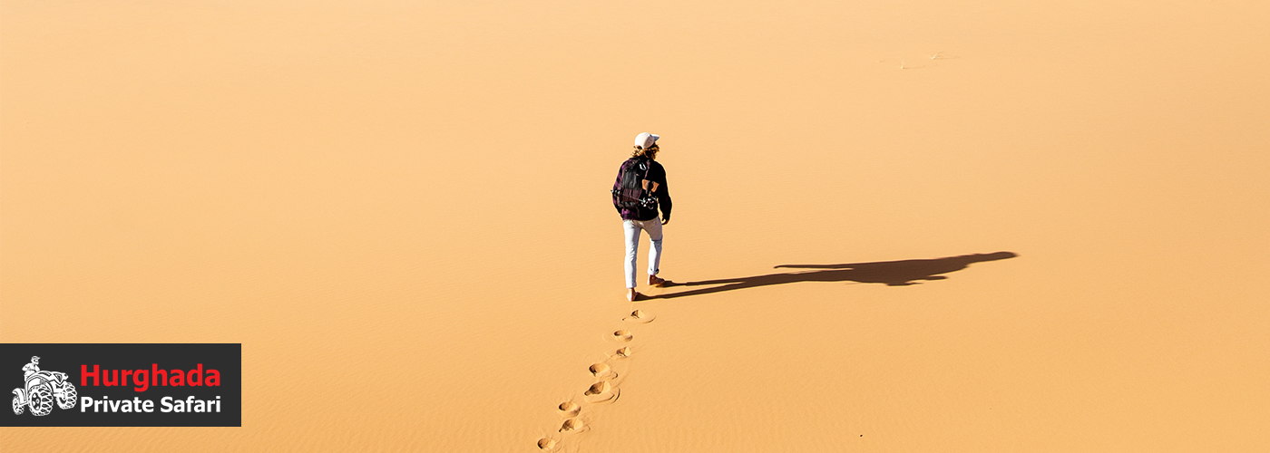 🐾 Footprints & Freedom: A Nature Walk Through the Untouched Desert 4 Nov Blog Posts Visual12