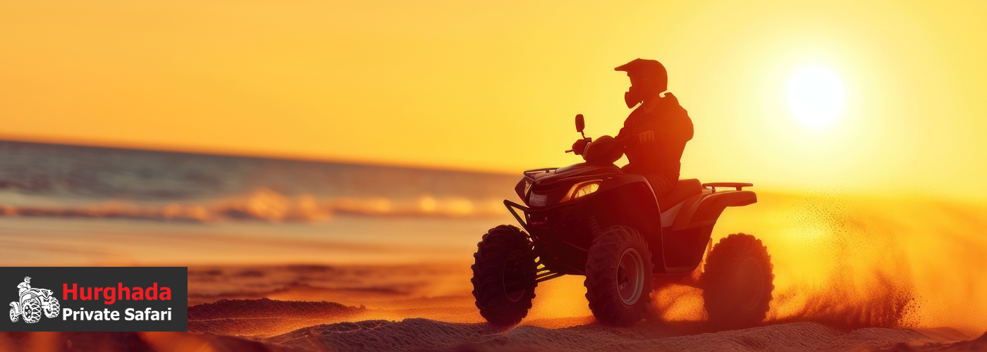 Unleash Your Wild Side 4 Nov Blog Posts Visual18