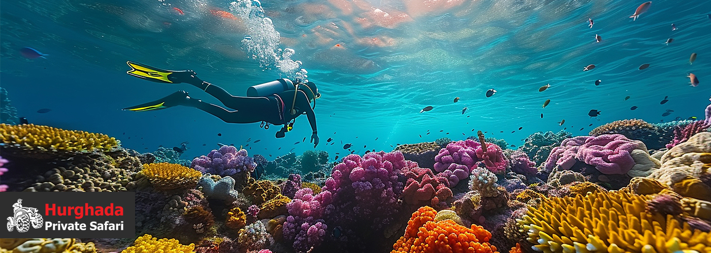 🐠 Snorkel in Paradise! 4 Nov Blog Posts Visual20