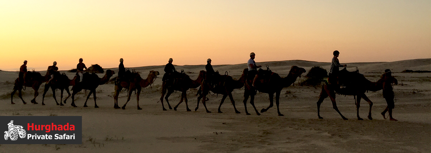 🐪 Ride a Camel into the Sunset 4 Nov Blog Posts Visual26