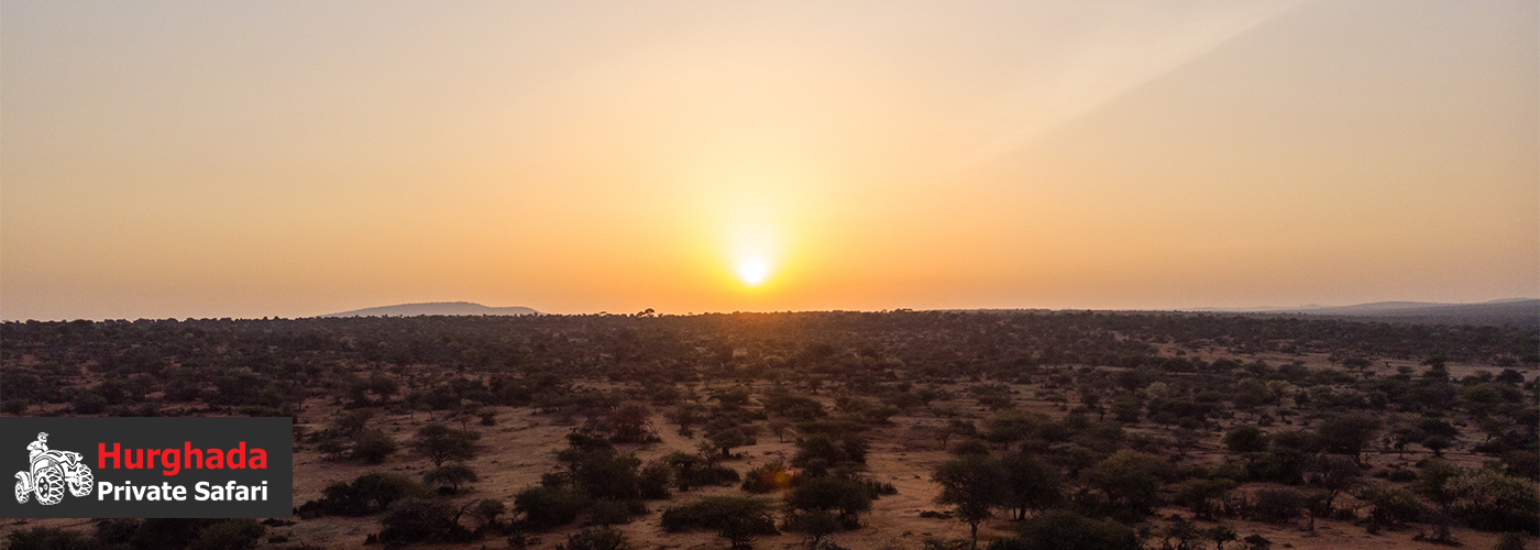 🗿 Ancient Echoes: Uncover Desert Petroglyphs and Timeless History 4 Nov Blog Posts Visual3