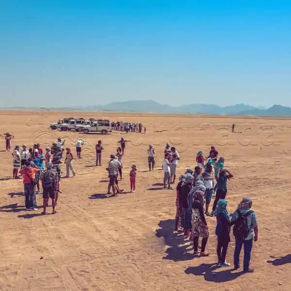 Soma-Bay-Private-Jeep-Safari-Trips-0v